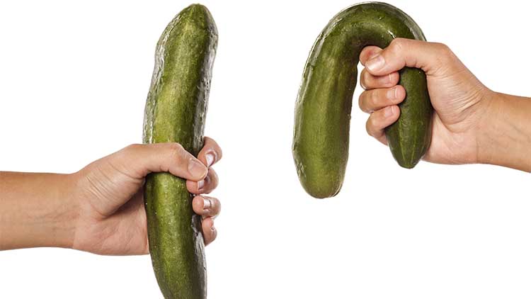 women hands holding distorted and normal cucumber on white